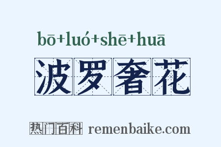 波罗奢花是什么意思的图片